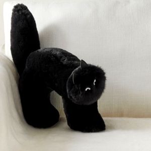 New Pottery Barn Cat Pillow